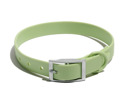 Furry & Co Weatherproof Collar for Dogs (Matcha Latte) Fashion