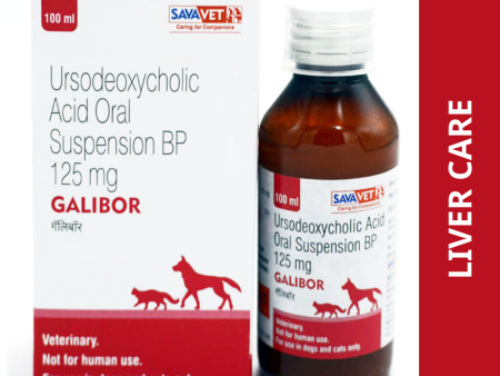 Savavet Galibor Supsension (Ursodeoxycholic Acid) for Dogs & Cats (100ml) For Discount