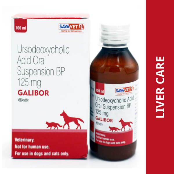 Savavet Galibor Supsension (Ursodeoxycholic Acid) for Dogs & Cats (100ml) For Discount