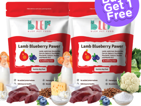 BLEP Lamb Blueberry Pawer Dog Wet Food (300g) (Buy 1 Get 1) (Limited Shelf Life) on Sale