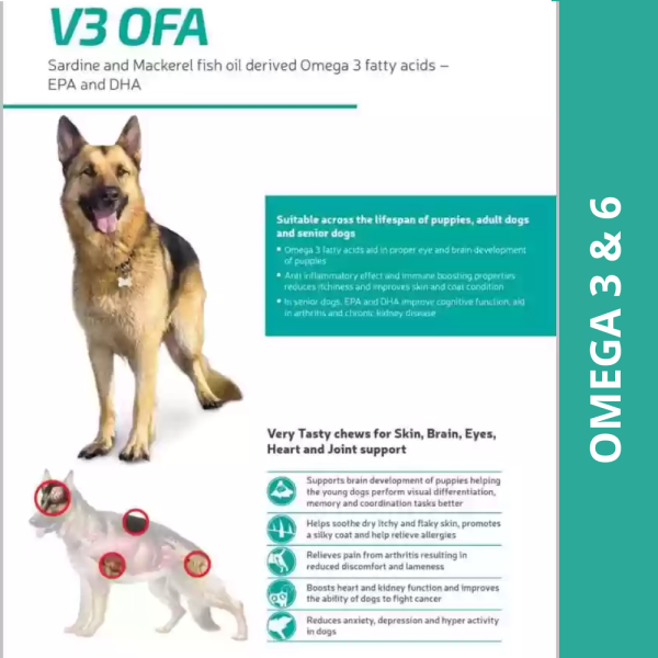 Vvaan V3 OFA Tablet for Dogs (pack of 40 tablets) Supply