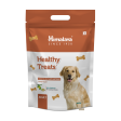 Himalaya Lamb Flavour Healthy Adult Dog Treats Sale