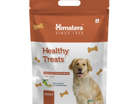 Himalaya Lamb Flavour Healthy Adult Dog Treats Sale