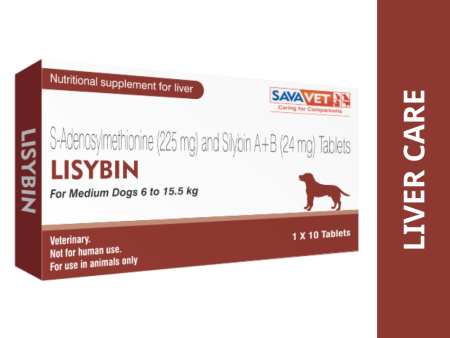 Savavet Lisybin Tablet (pack of 10 tablets) For Cheap