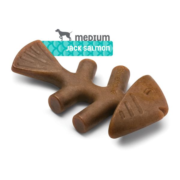 Benebone Jack Salmon Flavored Fishbone Chew Toy for Dogs Online Sale