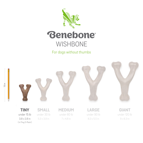 Benebone Bacon Flavored Dental and Wishbone Chew Toys for Dogs on Sale