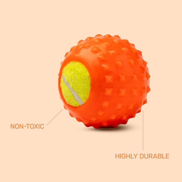 Kibbo Non Toxic Tennis Rubber Ball Chew Toy for Dogs and Cat (Orange) Online