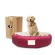 House of Furry Ultra Soft Velvet Luxury Donut Sofa Bed for Dogs and Cats (Multi Color) Online