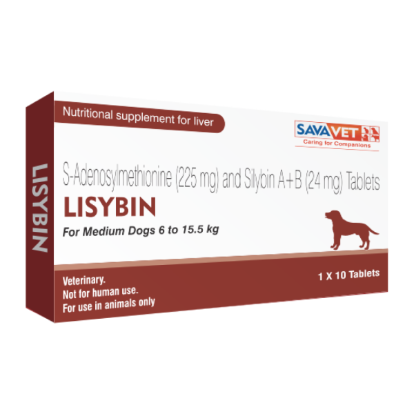 Savavet Lisybin Tablet (pack of 10 tablets) For Cheap