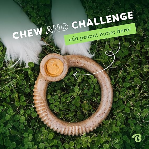 Benebone Bacon Flavoured Ring Bone Chew Toy for Dogs Online Sale