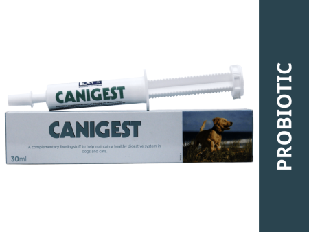 Vetina Canigest Probiotic Gastrointestinal Paste for Dogs & Cats (30ml) Online now