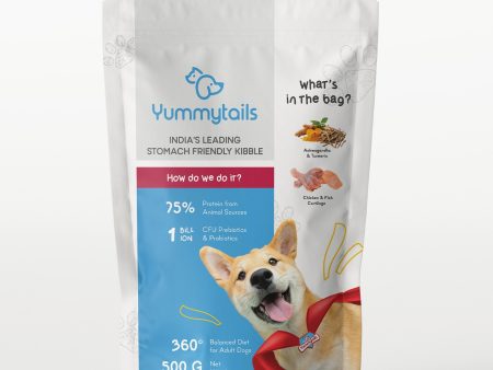 Yummytails Chicken and Fish Premium Adult Medium and Large Dog Dry Food Online Hot Sale