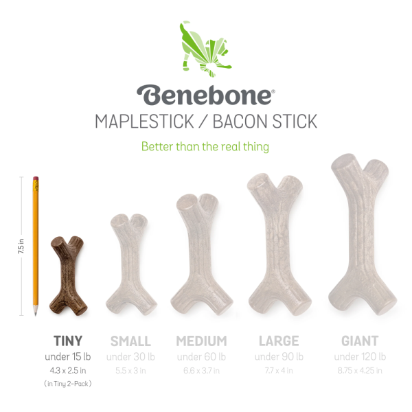 Benebone Bacon Flavored Maplestick and Zaggler Chew Toys for Dogs Sale