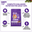 IAMS Proactive Health Chicken Premium Mother and Kitten Cat Dry Food Online