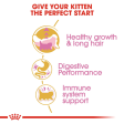 Royal Canin Persian Kitten Cat Dry Food Online Sale