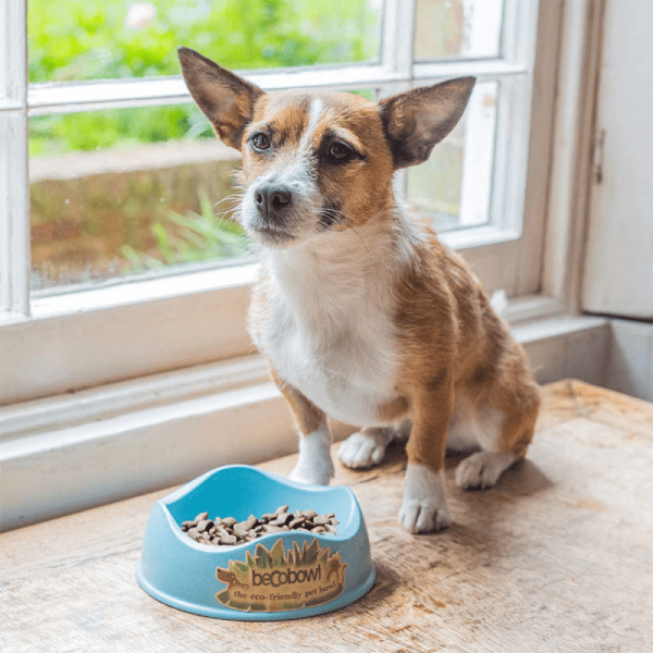 Beco Bowl for Dogs (Blue) For Discount