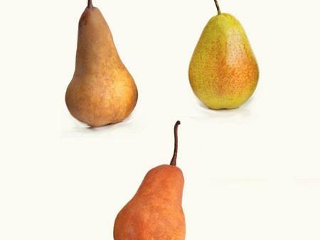 3-in-1 Pear Tree Discount