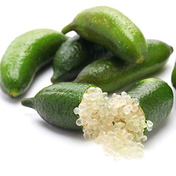 Australian Finger Lime Tree For Cheap