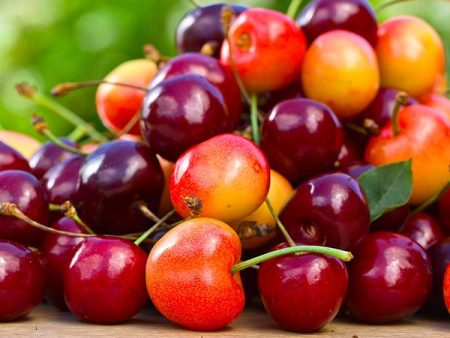 5-in-1 Cherry Surprise Tree Online Sale