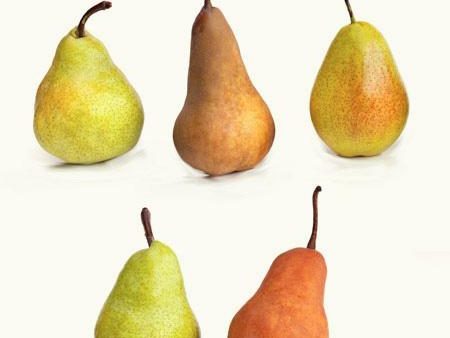 5-in-1 Pear Tree For Discount