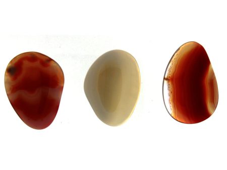 FREEFORM GEMSTONE CARNELIAN CABOCHONS Sale