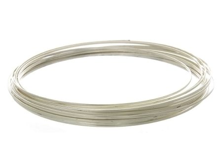 GENERIC  20 GAUGE HALF-ROUND SS WIRE (1 FT) For Cheap