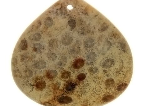 GEMSTONE JASPER FOSSIL CORAL TEARDROP 40 X 40 MM PENDANT For Cheap