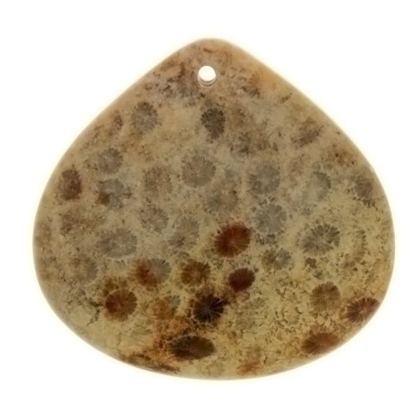 GEMSTONE JASPER FOSSIL CORAL TEARDROP 40 X 40 MM PENDANT For Cheap