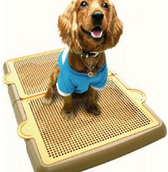 Yogi Pee Tray Toilet Large Online Sale